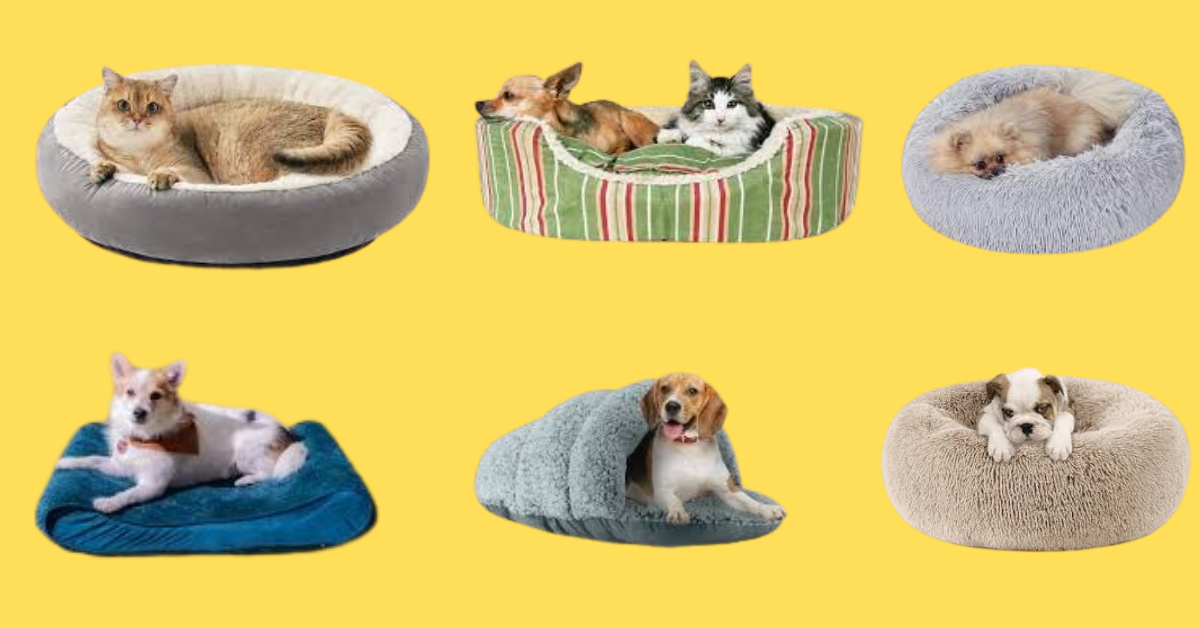 You are currently viewing 10 Best  Bed for Dog and Cat  in 2023