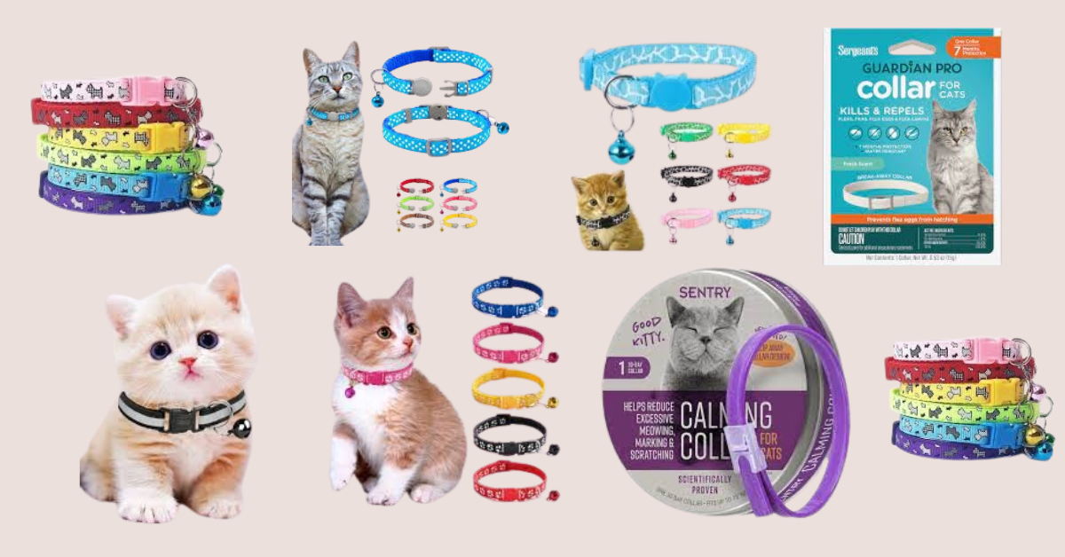 Read more about the article 10 Best  Cats  Collar  in 2023,