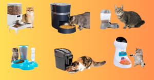 Read more about the article 10 Best Cat Feeders in 2023