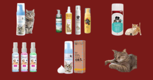 Read more about the article 10 Best Cat Dry Shampoo in 2023