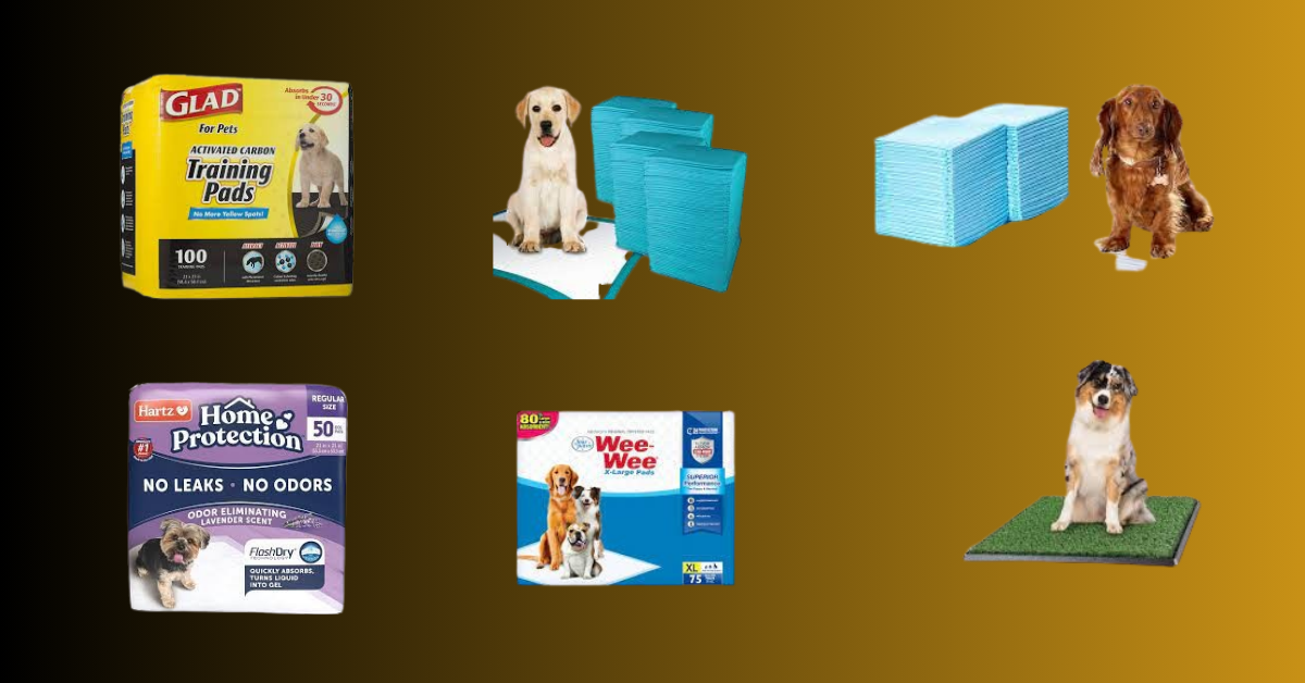 You are currently viewing 10 Best Dog Pee Pads in 2024
