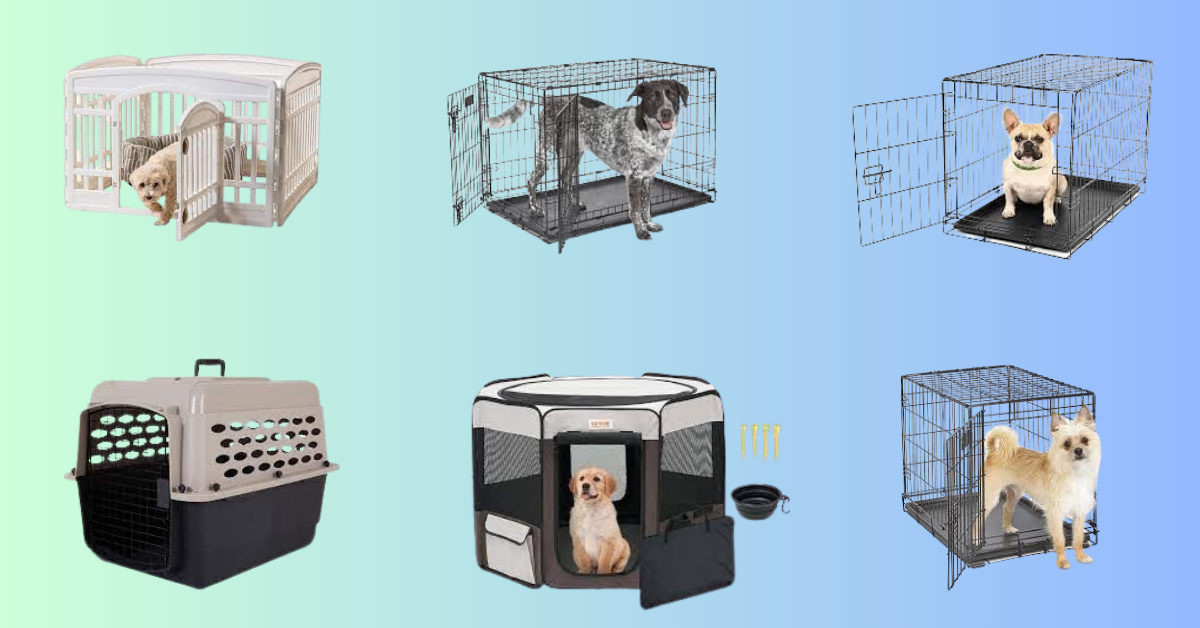 Read more about the article 10 Best Dog Crate in 2024